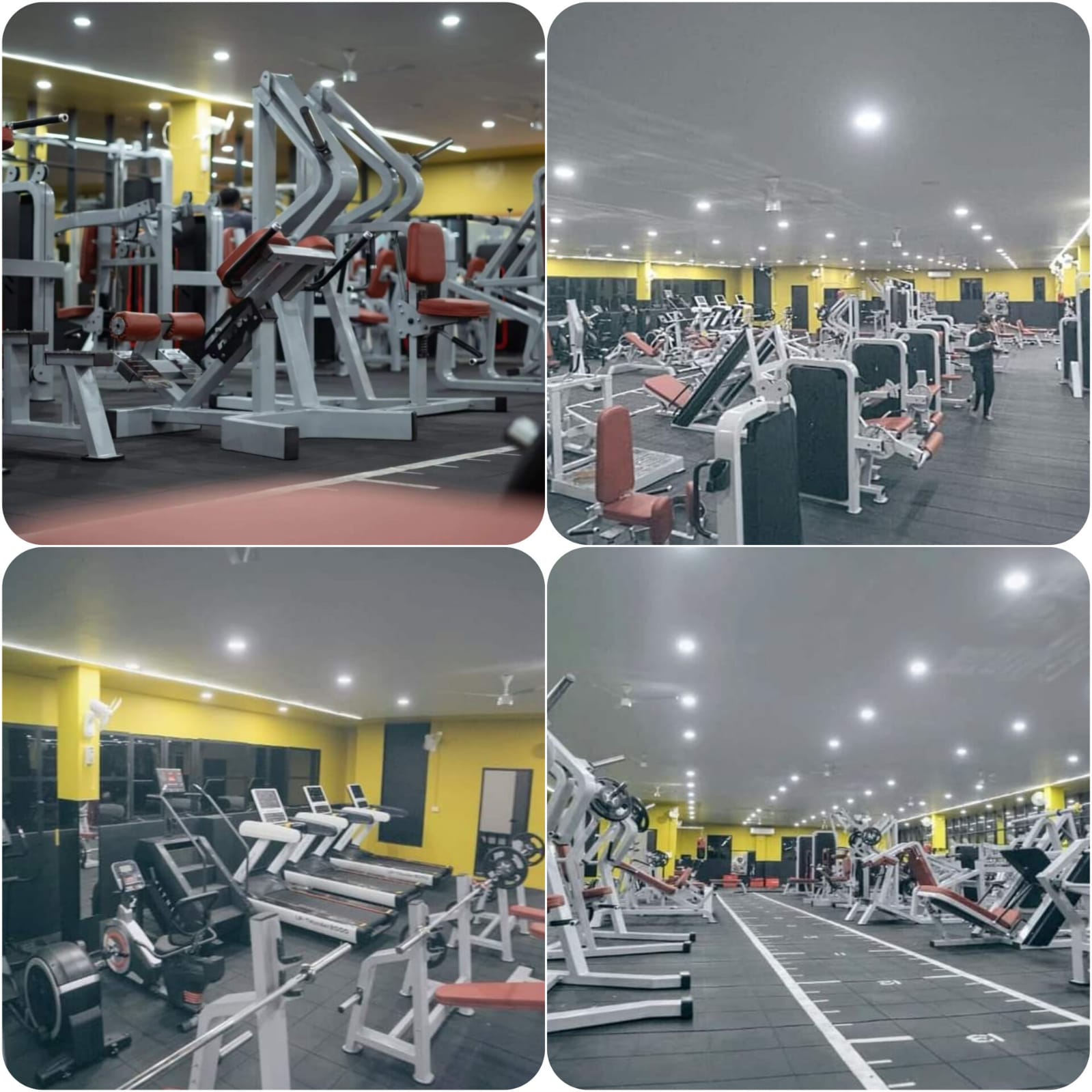 B Fit Physical & Lifestyle Hub Kadungallur